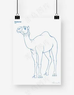 骆驼图片