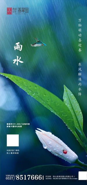 地产·雨水图片