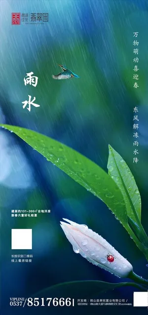 地产·雨水图片 地产·雨水图片