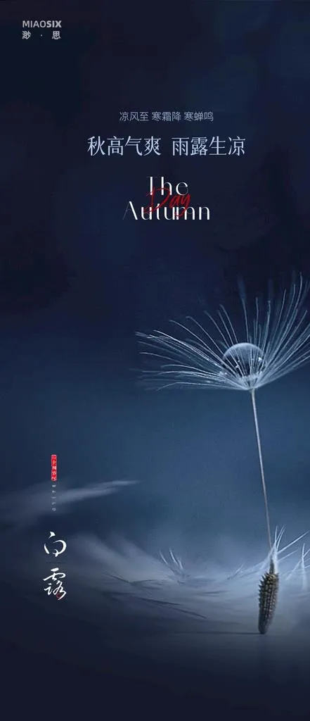 白露微信图片(1080x2340)psd模版下载