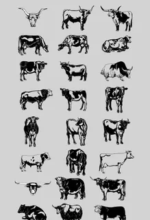 AI矢量牛图片