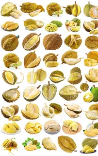 榴莲免抠图汇总图片