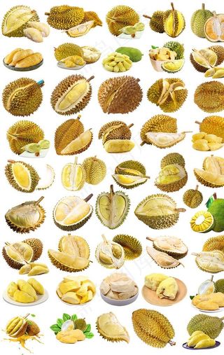 榴莲免抠图汇总图片