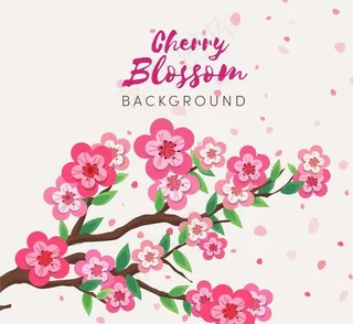 手绘粉色樱花花枝图片