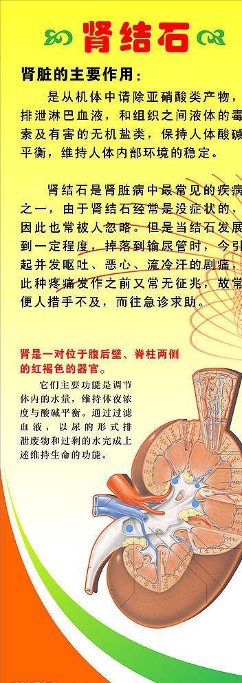 肾结石图片cdr矢量模版下载