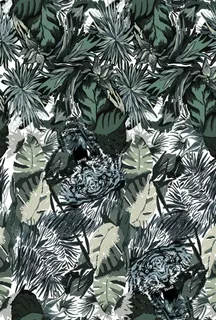 大牌热带花卉图片