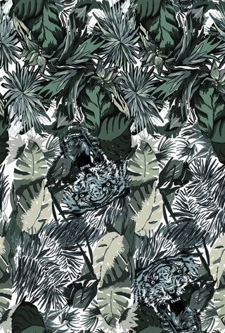 大牌热带花卉图片