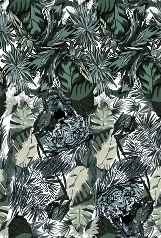 大牌热带花卉图片