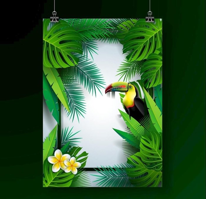 热带植物和大嘴鸟背景图片