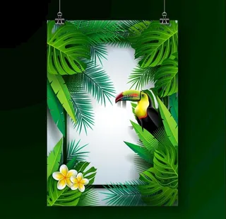 热带植物和大嘴鸟背景图片