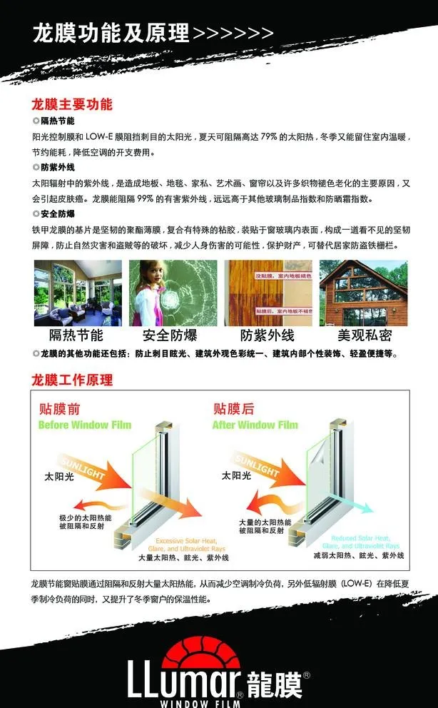 龙膜介绍图片(2551x4252)psd模版下载