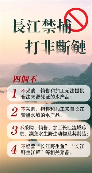 长江禁捕?打非断链图片