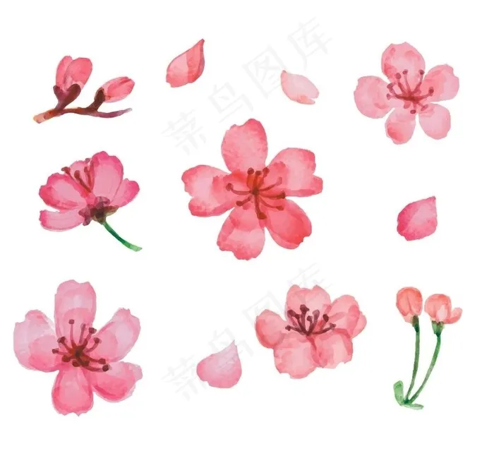 11款粉色樱花矢量素材图片