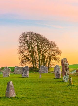 草地             图片