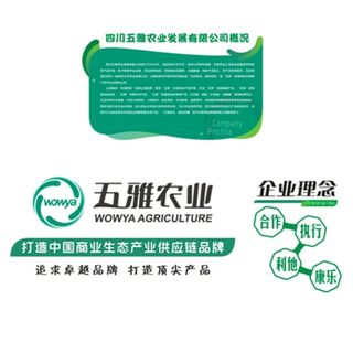 文化墙图片