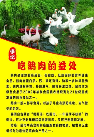 吃鹅的益处图片