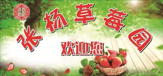 草莓园海报图片