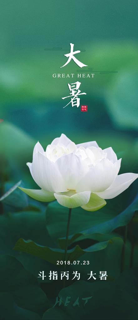 24节气之大暑海报设计图片