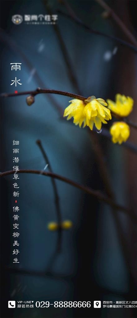 二十四节气海报 雨水海报图片cdr矢量模版下载