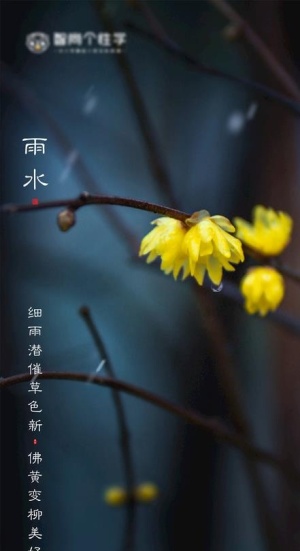 二十四节气海报 雨水海报图片