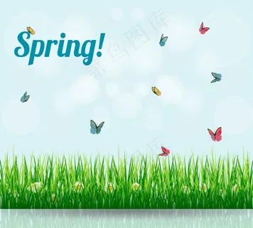春天蝴蝶背景图片
