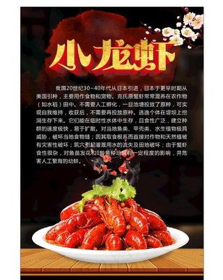 小龙虾海报图片