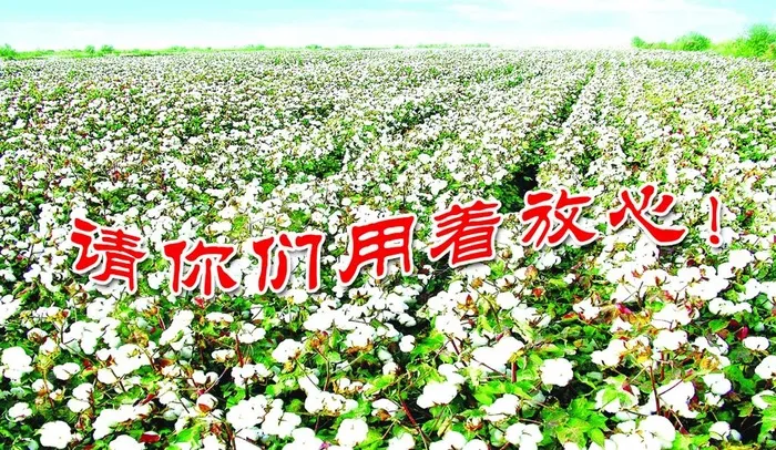 棉花名片图片(1063x650)psd模版下载