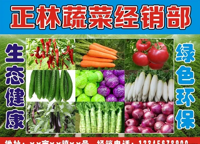 蔬菜经销图片cdr矢量模版下载