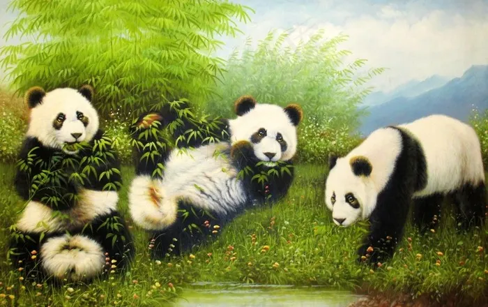 熊猫图片