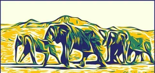 大象矢量抽象装饰画版画图片