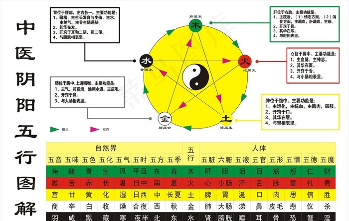 中医五行图解图片cdr矢量模版下载