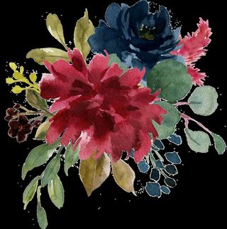 水彩花 免扣 PNG图片