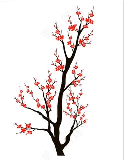 梅花图片