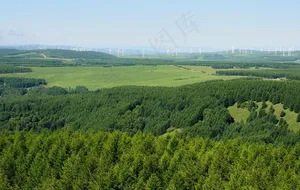 塞罕坝草原图片