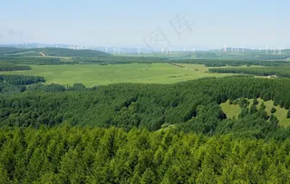 塞罕坝草原图片