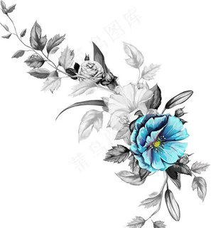 花卉 热带花图片