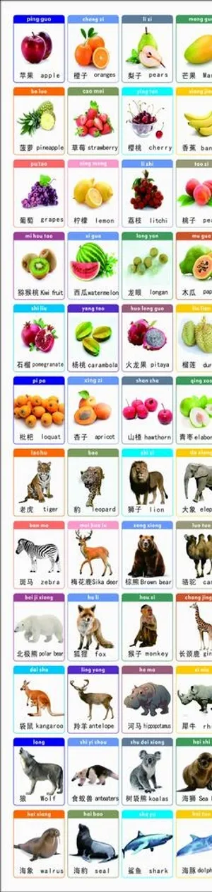 儿童看图识物图片