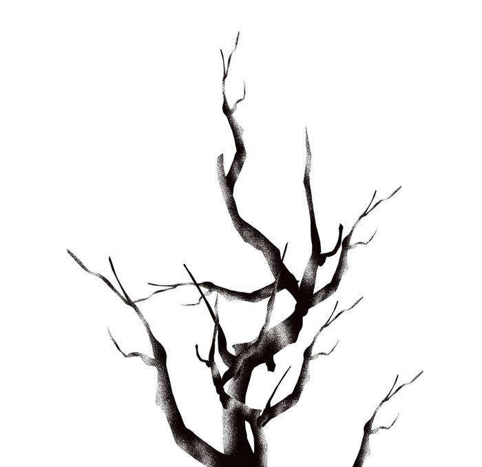 冬季植物树枝元素图片(2000x2000)psd模版下载