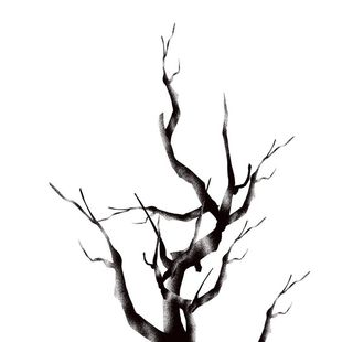 冬季植物树枝元素图片