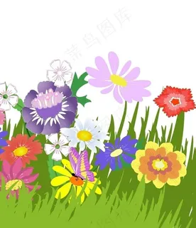 花花草草图片 花花草草图片