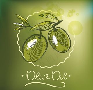 橄榄图片