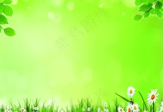 绿色背景图片