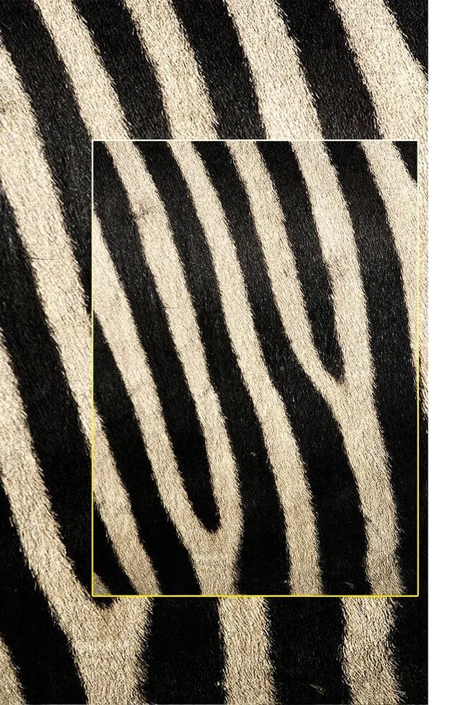 高清动物毛发背景JPG图片(1240x1754)psd模版下载