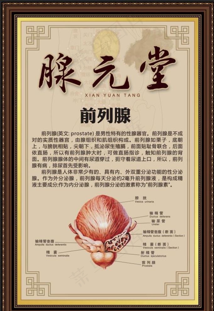 前列腺  男性健康  尿频图片(4724x7087)psd模版下载