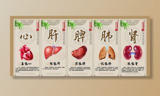 心肝脾肺肾图片