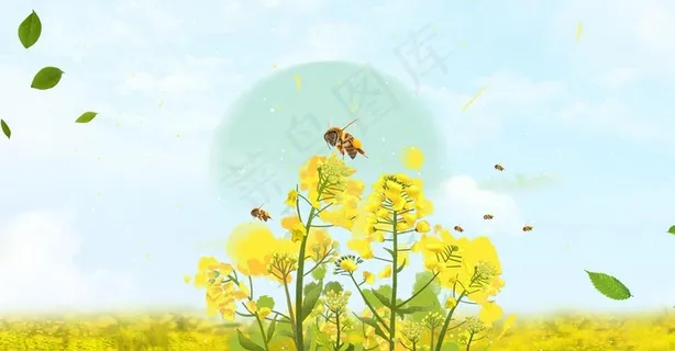 油菜花夏季蜜蜂插画唯美背景素材图片