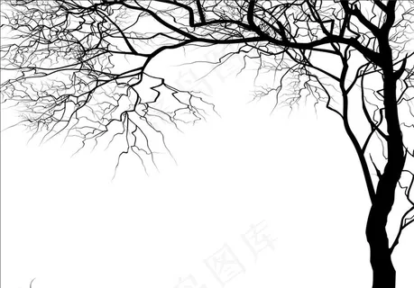 树干树枝图片