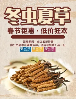 冬虫夏草海报图片