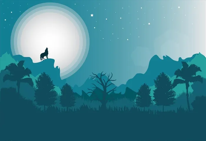 夜晚森林图片
