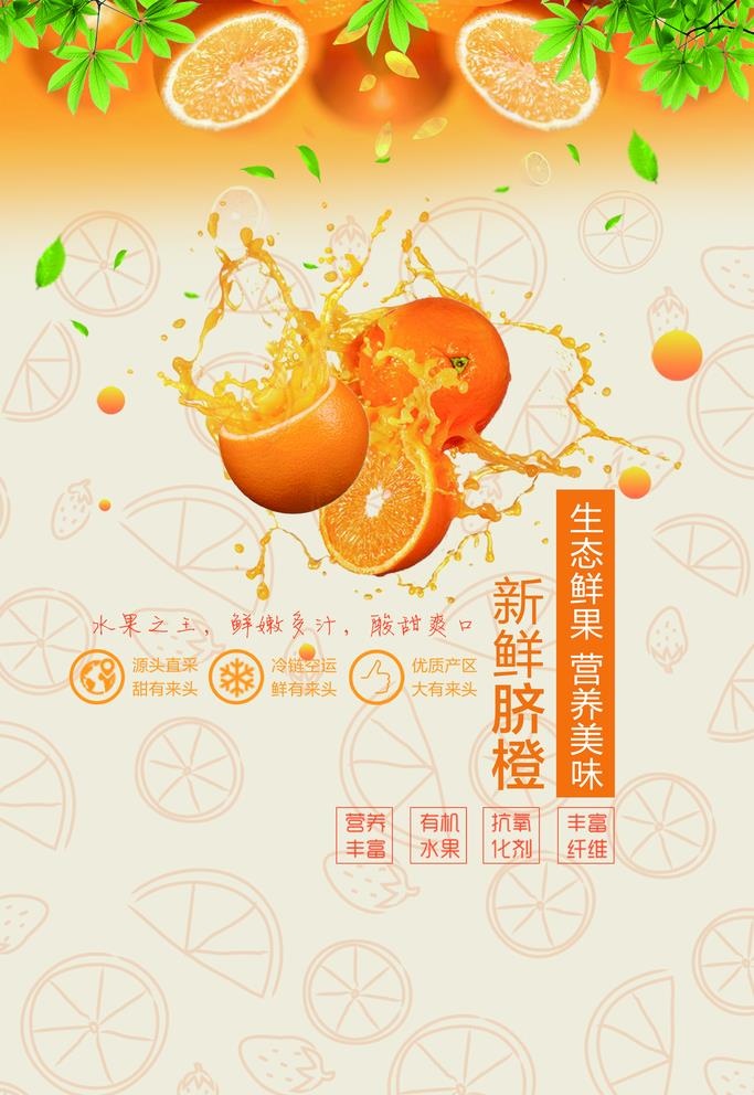 橙子图片(3543x5315)psd模版下载